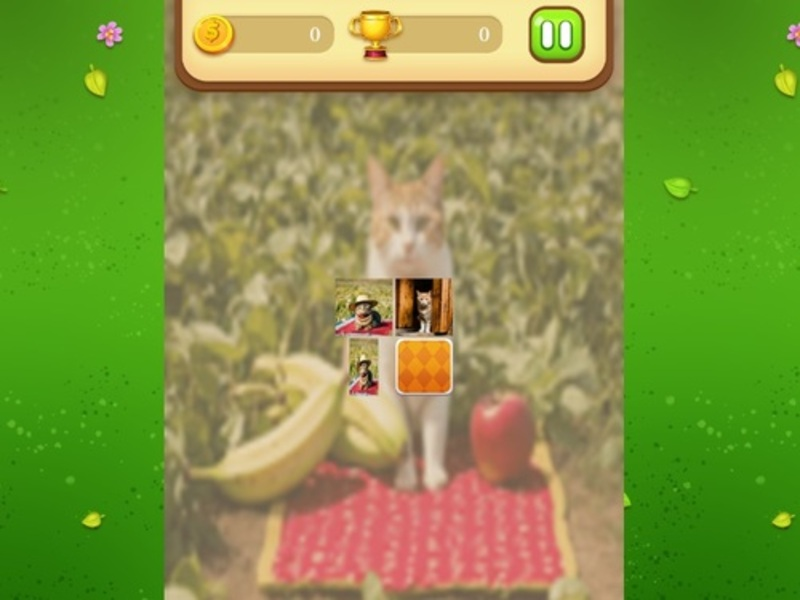 Spil Farm Cat Memory Match online