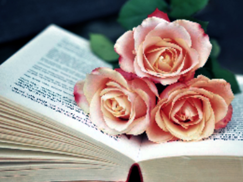 Spil Book of Blooms Jigsaw online