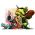Browser strategi online